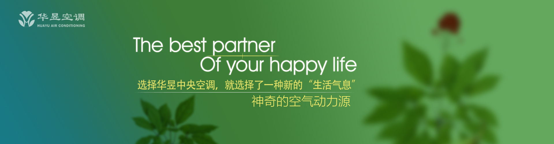 煞费苦心网